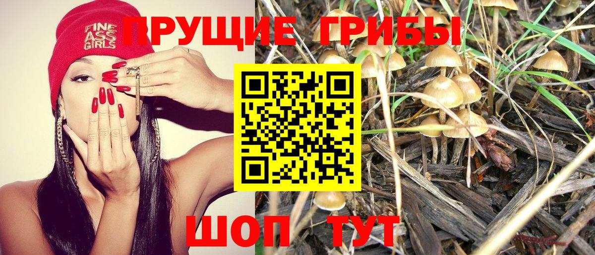 Ипатово  Псилоцибиновые грибы ЛСД  Псилоцибиновые грибы GOLDEN TEACHER  купить наркоту  Вход с VPN 