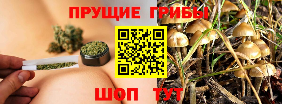 Псилоцибиновые грибы GOLDEN TEACHER Ипатово
